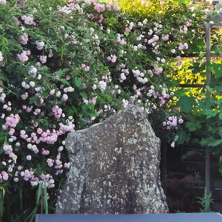 Sternhaus - Am Kurpark Lägenhet